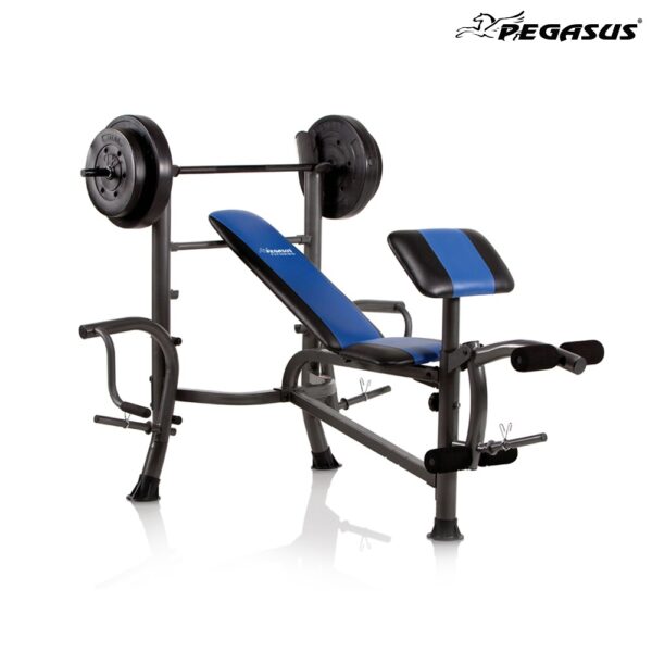 Pegasus Bench 36780 main3 311261ca 540c 4c80 b2a9 4a63a4878a85