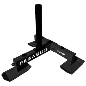 Pegasus PG001 Square 01 486f28e2 b336 4c33 aa72 b42e7f066f82