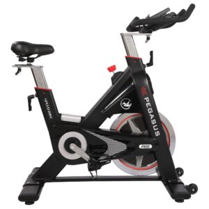Ποδήλατο Pegasus® Spin Bike PG5 (391167873)