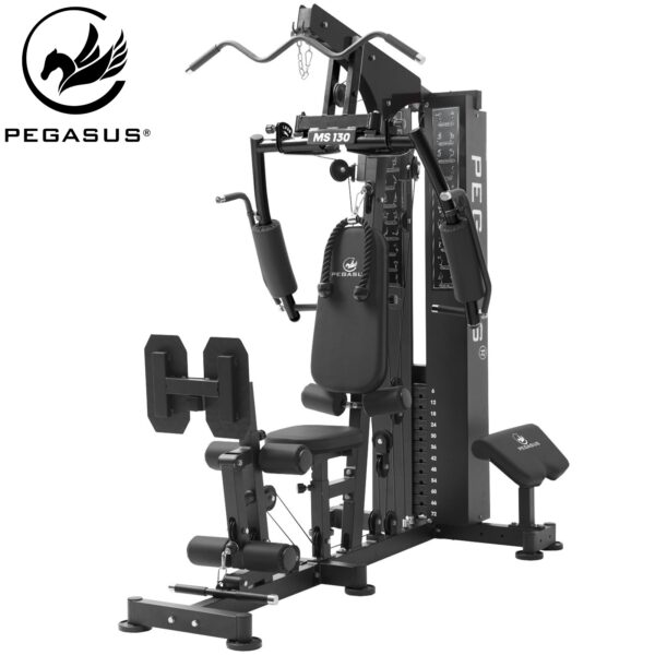 Pegasus MS130 Home Gym main3 153c8b97 c701 46b1 aeee ea2e4eb8c6fc