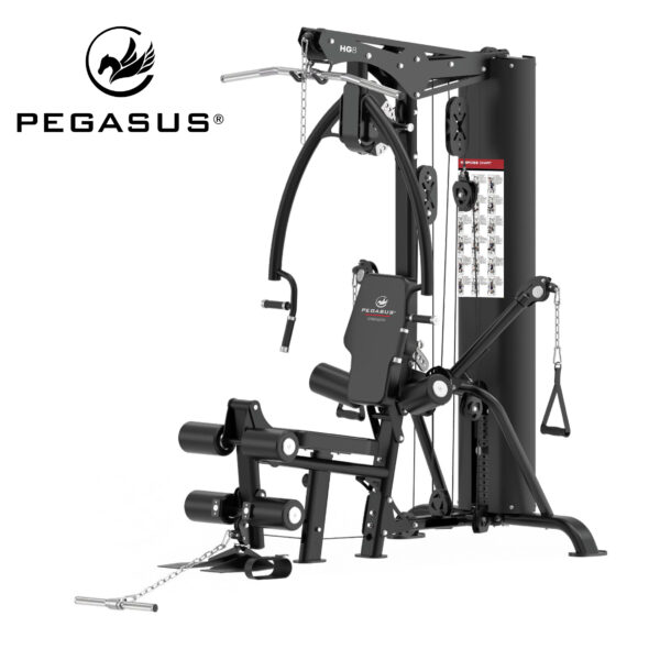 Pegasus HG8 Square 00 891275b3 1ba8 4d61 adb2 4554f8dd2661