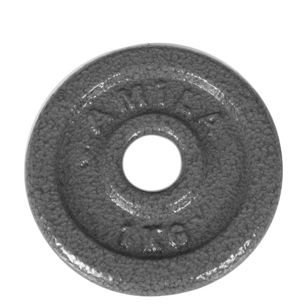 Δίσκος Amila 28mm σίδερο γκρι 1.0kg 44469